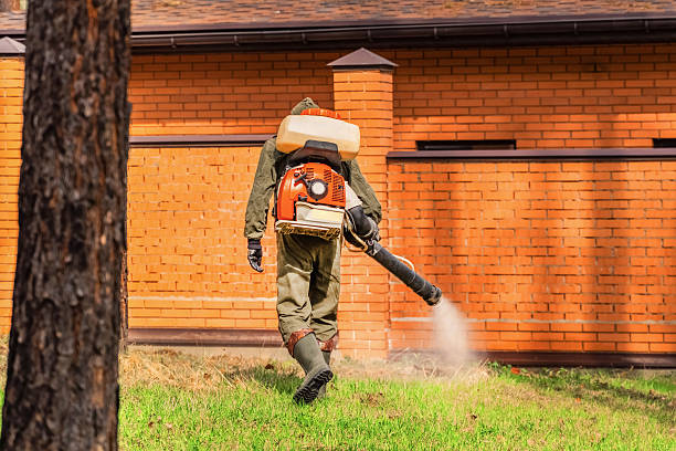 Bed Bug Clearance Verification and Documentation in Loving